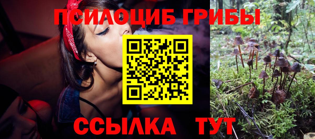 Ленинск-Кузнецкий  Галлюциногенные грибы Cubensis  Вход с VPN  Галлюциногенные грибы Psilocybine cubensis 