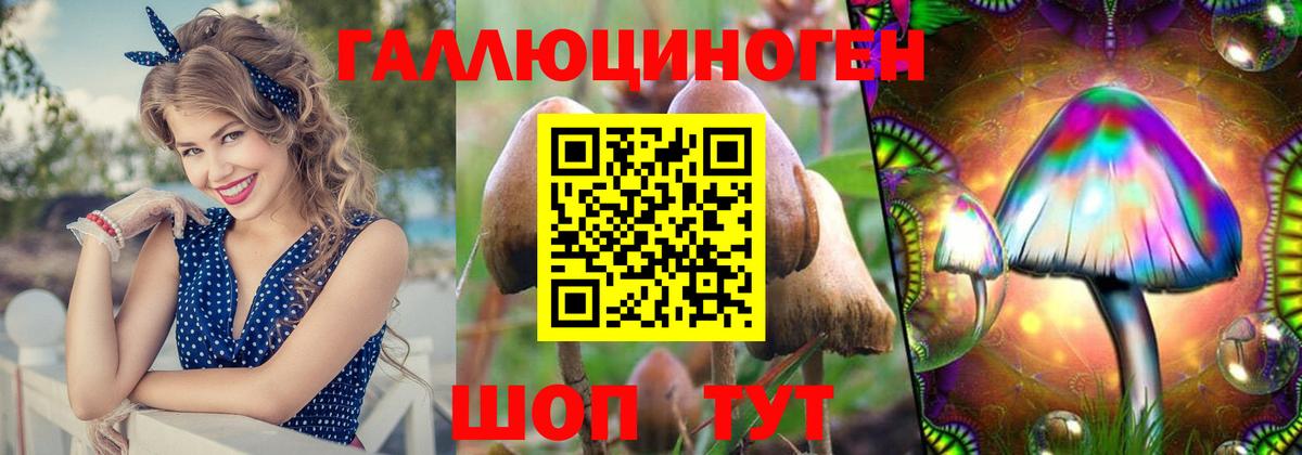 Галлюциногенные грибы прущие грибы Ленинск-Кузнецкий