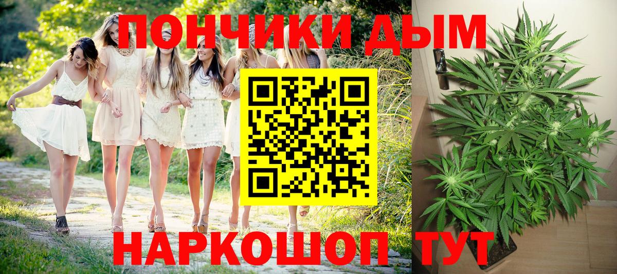 Каннабис Amnesia Ленинск-Кузнецкий